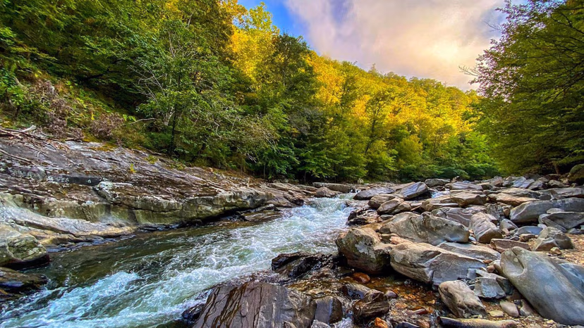 Laurel River Trail